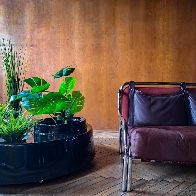 2938BA76-363D-44AE-8B46-5964BAE04BAD